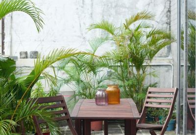 Outdoor terrace with a wooden table, chairs, and potted palm trees.