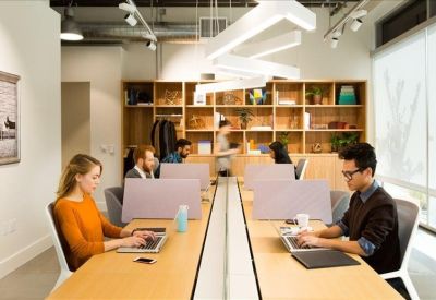Open-plan workspace with long timber desks, privacy dividers, and ergonomic chairs.
