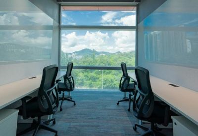 Quiet focus area with individual workstations and views of lush green hills.