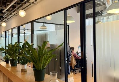 Modern hallway featuring glass-walled office suites and potted green plants.