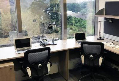 Sunlit workspace with two desks, ergonomic chairs, and large windows overlooking lush greenery.