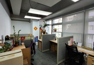 Bright open-plan workspace with multiple desks, green plants, and large windows.