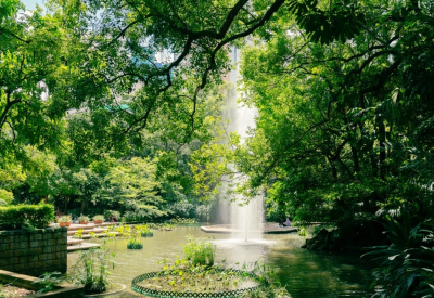 Tsim Sha Tsui gardens
