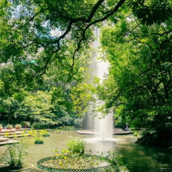 Tsim Sha Tsui gardens