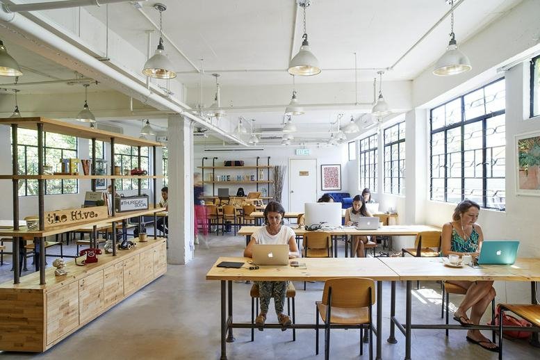 Bright open-plan workspace featuring wooden desks, pendant lighting, and large windows.
