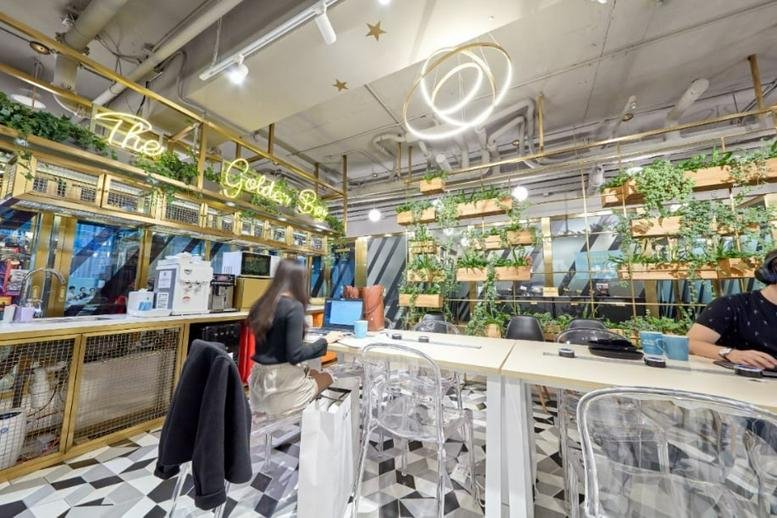 The vibrant coworking space and lounge at Admiralty Centre with lush greenery and warm lighting.