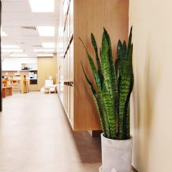 Exterior view of 88 Hing Fat Street, 33rd Floor