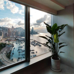 Office suites in central Hong Kong